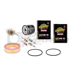 Renault 4 845cc service kit